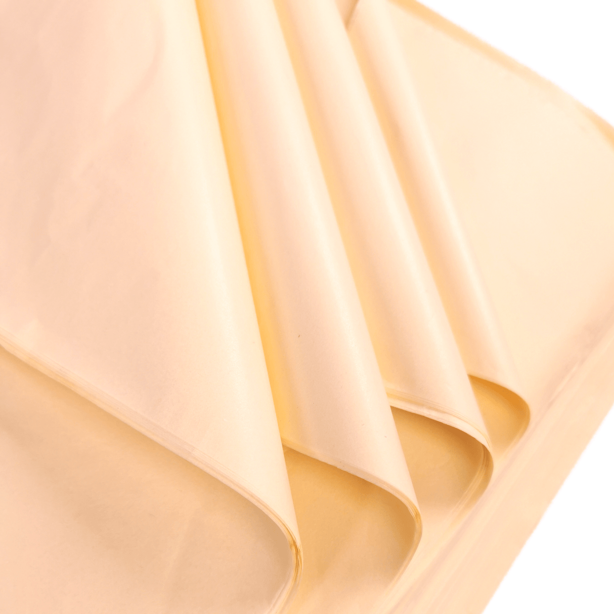 Cream Tissue Paper Folds 2