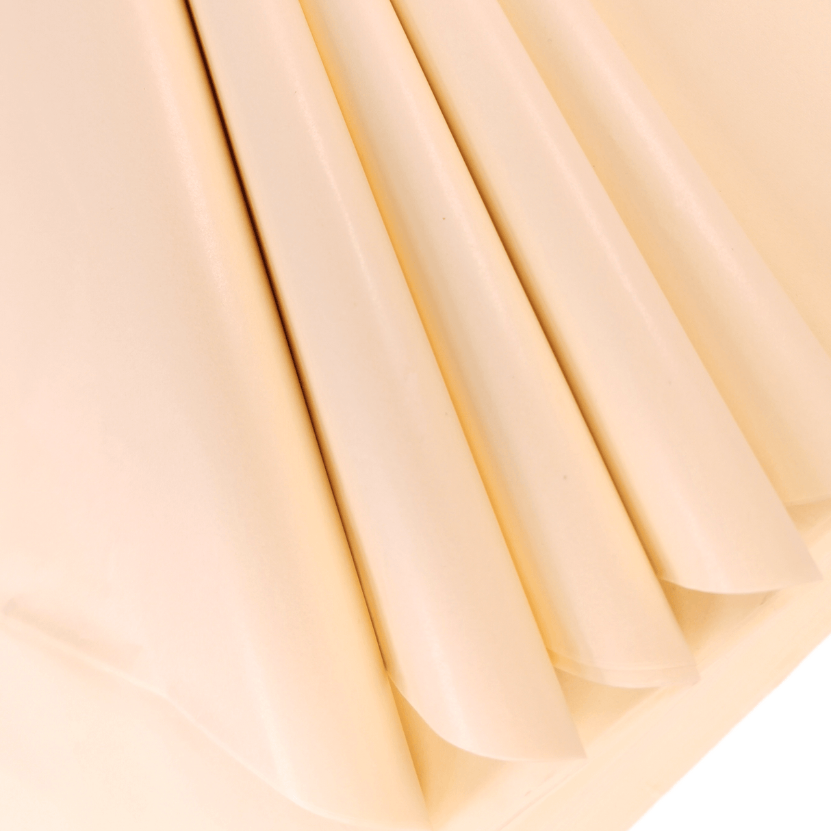 Cream Tissue Paper Folds 4