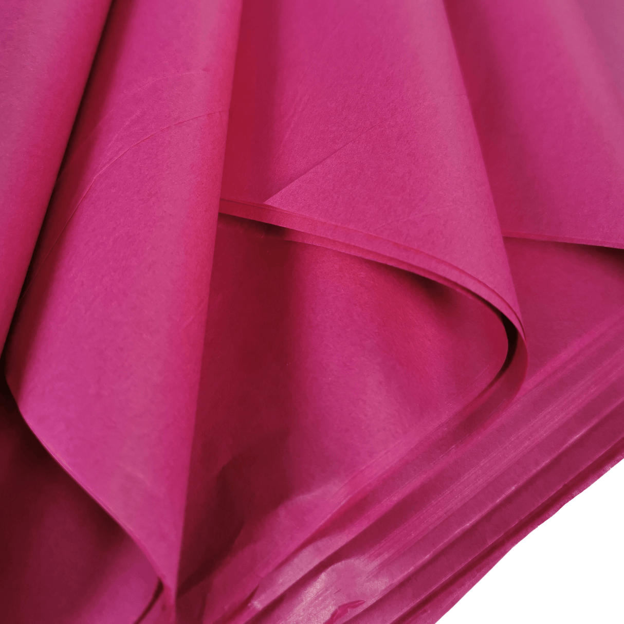 Fuchsia Tissue Folds Close 1