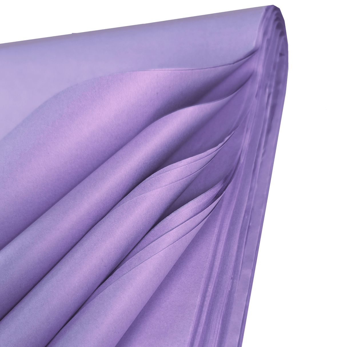 Lilac Tissue Fancy Fold 3