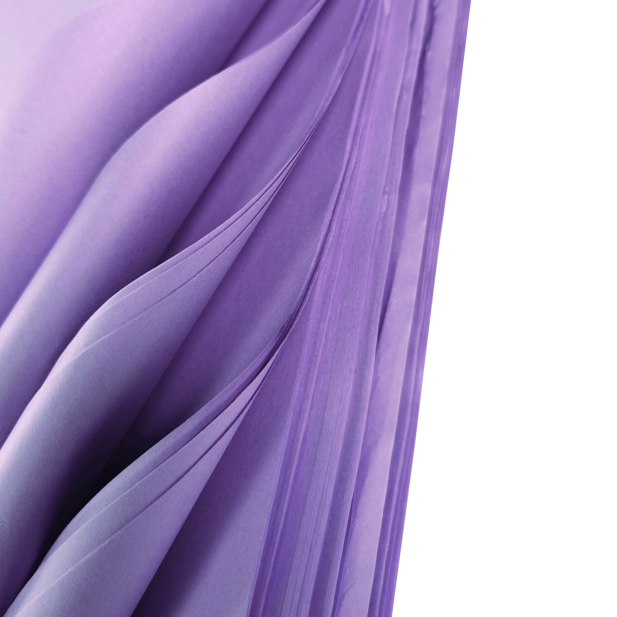 Lilac Tissue Fancy Fold Close