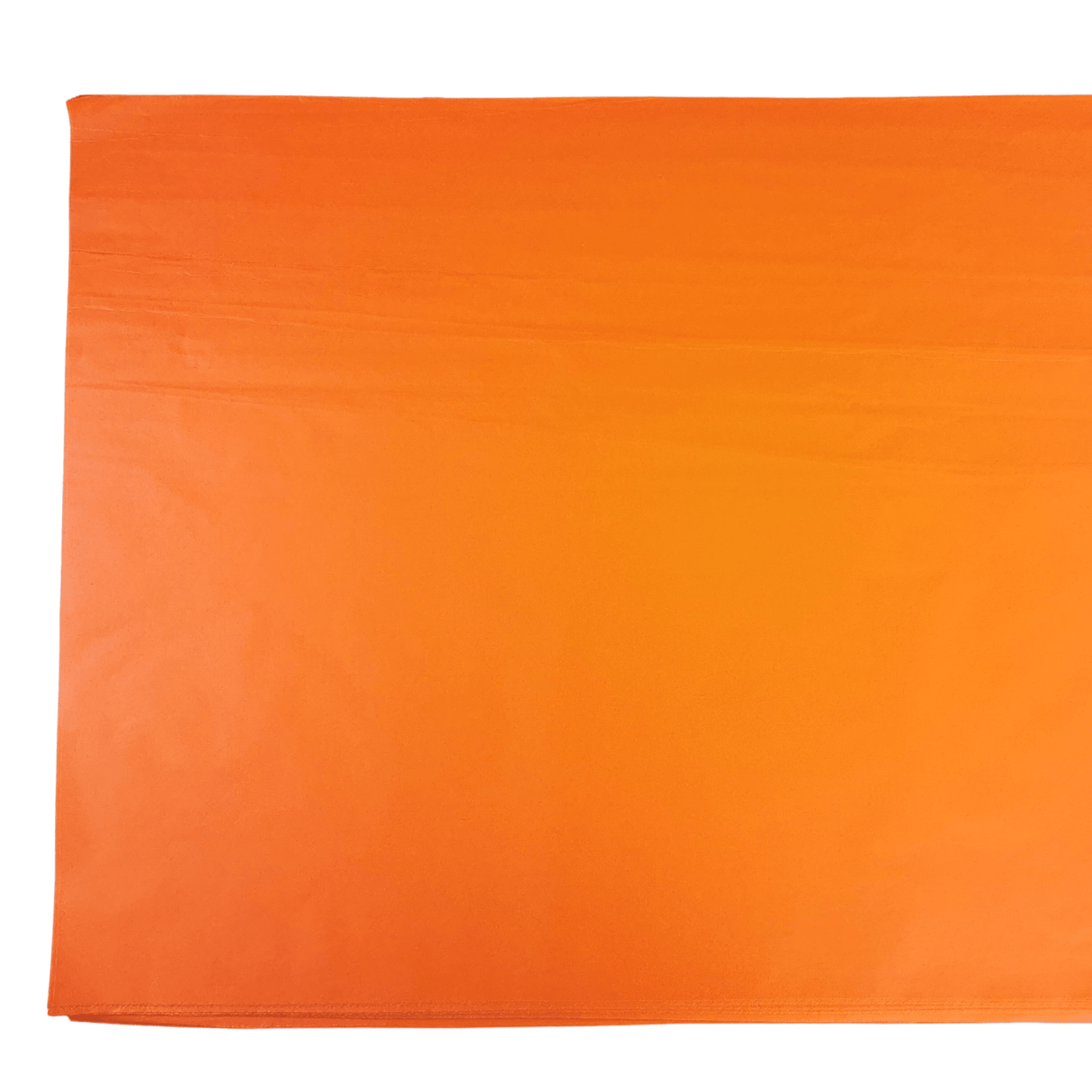Orange Tissue Paper Flat
